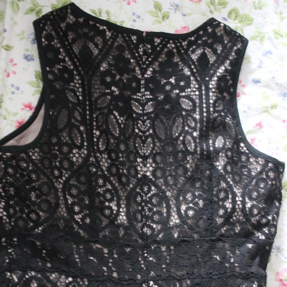NEW Loft Lace Dress Petite 00